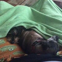 Heather Holt Photo 22