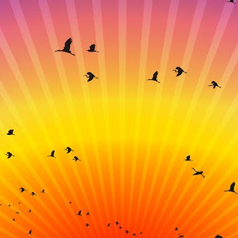 Candy Schaefer Photo 8