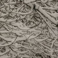 Regina Joseph Photo 28