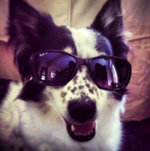 Laura Harmon Photo 42