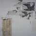Steven Weeks Photo 12