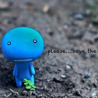 Colleen Estes Photo 7