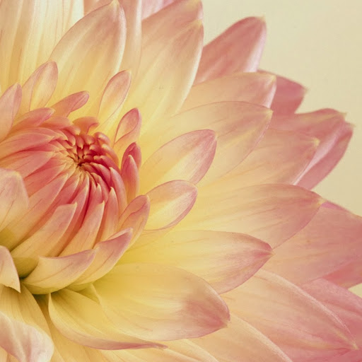 Laura Chevalier Photo 27