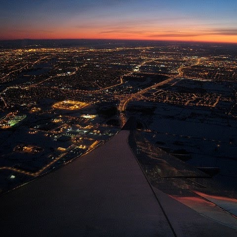 David Ricci Photo 41