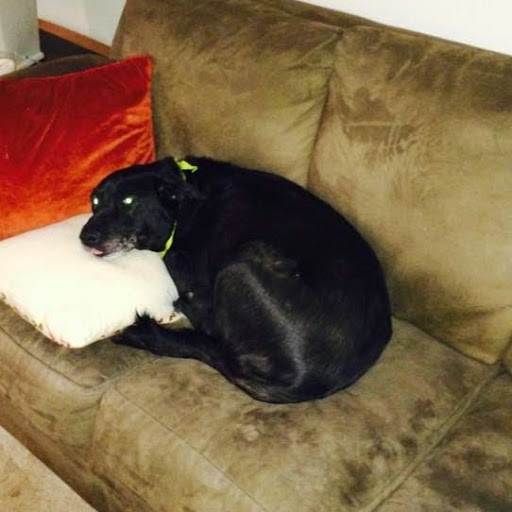 Andrew Willis Photo 14 Andrew Willis Photo 14