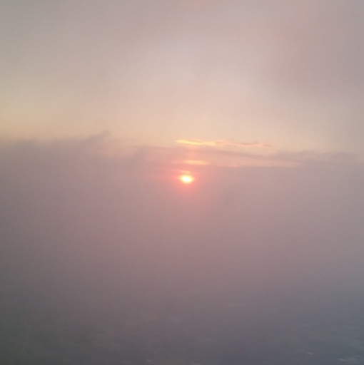 Harry Willis Photo 17