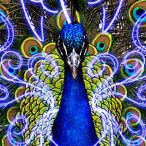 Diana Bridges Photo 31