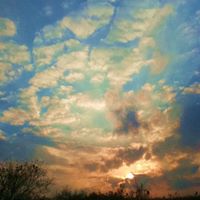 Sandra Layne Photo 20