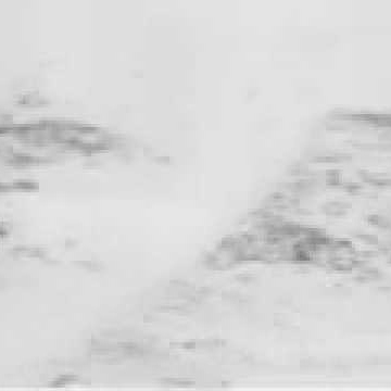 Gene Robertson Photo 13