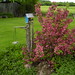 Denise Wolfe Photo 25