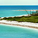 Jefferson Bush Photo 8