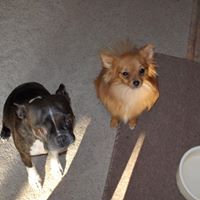 Janet Brosius Photo 1