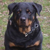 Cynthia Kneip Photo 6