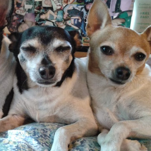 Paul Dunlap Photo 12