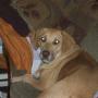 Connie Hull Photo 28