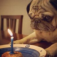 Suzanne Silver Photo 4