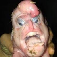 Joey Hatfield Photo 9