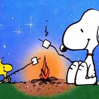 John Mccaffrey Photo 38