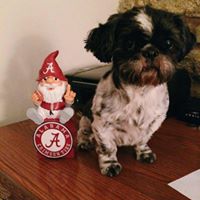 Barbara Powers Photo 22