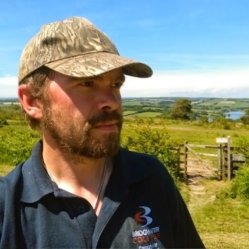 Adam Collett Photo 11