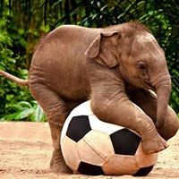 Annette Austin Photo 16