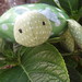 Amy Craft Photo 13