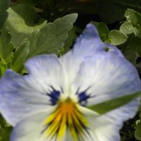 Teresa Ritchie Photo 22