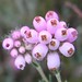 Erica Berry Photo 9