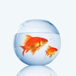 Therese Taylor Photo 1