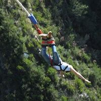 Theodore Swartz Photo 9