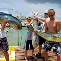 Mark Jefferies Photo 28 Mark Jefferies Photo 28