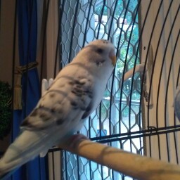 Angela Whatley Photo 4