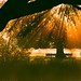 Dawn Holland Photo 10