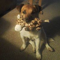 Sharon Thacker Photo 27