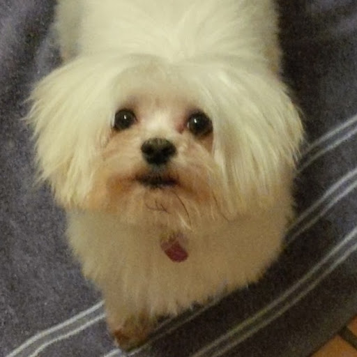 Laura Mccarthy Photo 28