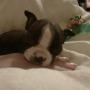 Mary Gonzalez Photo 11