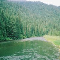 Rita Reynolds Photo 35