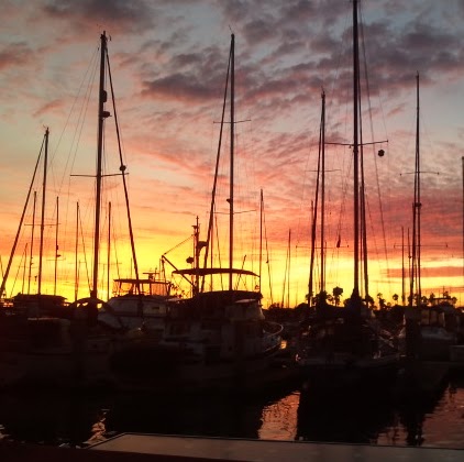 Janet Peters Photo 28