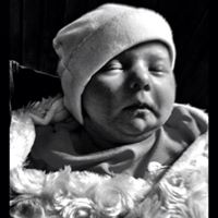 Gregory Novak Photo 20