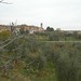 Andrea Greve Photo 19