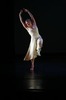 Lynne Kennedy Photo 32