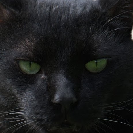 Ruthie Rose Photo 13