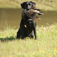 Dee Garrison Photo 11