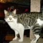 Nancy Kuhn Photo 30