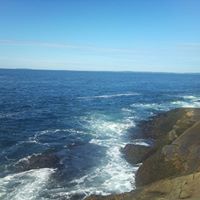 Katherine Williamson Photo 29