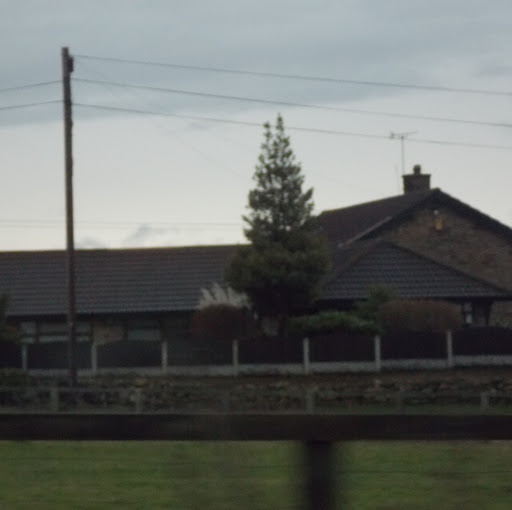 Eileen Scott Photo 15 Eileen Scott Photo 15