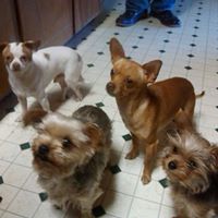 Angie Mayfield Photo 24