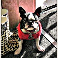 Martha Schultz Photo 12