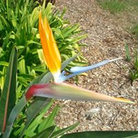 Jennifer Matteo Photo 36