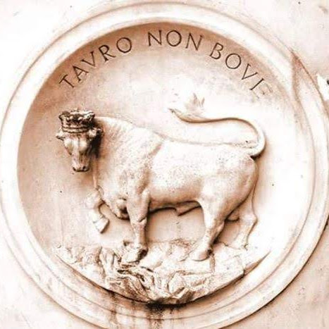 Michele Larosa Photo 17